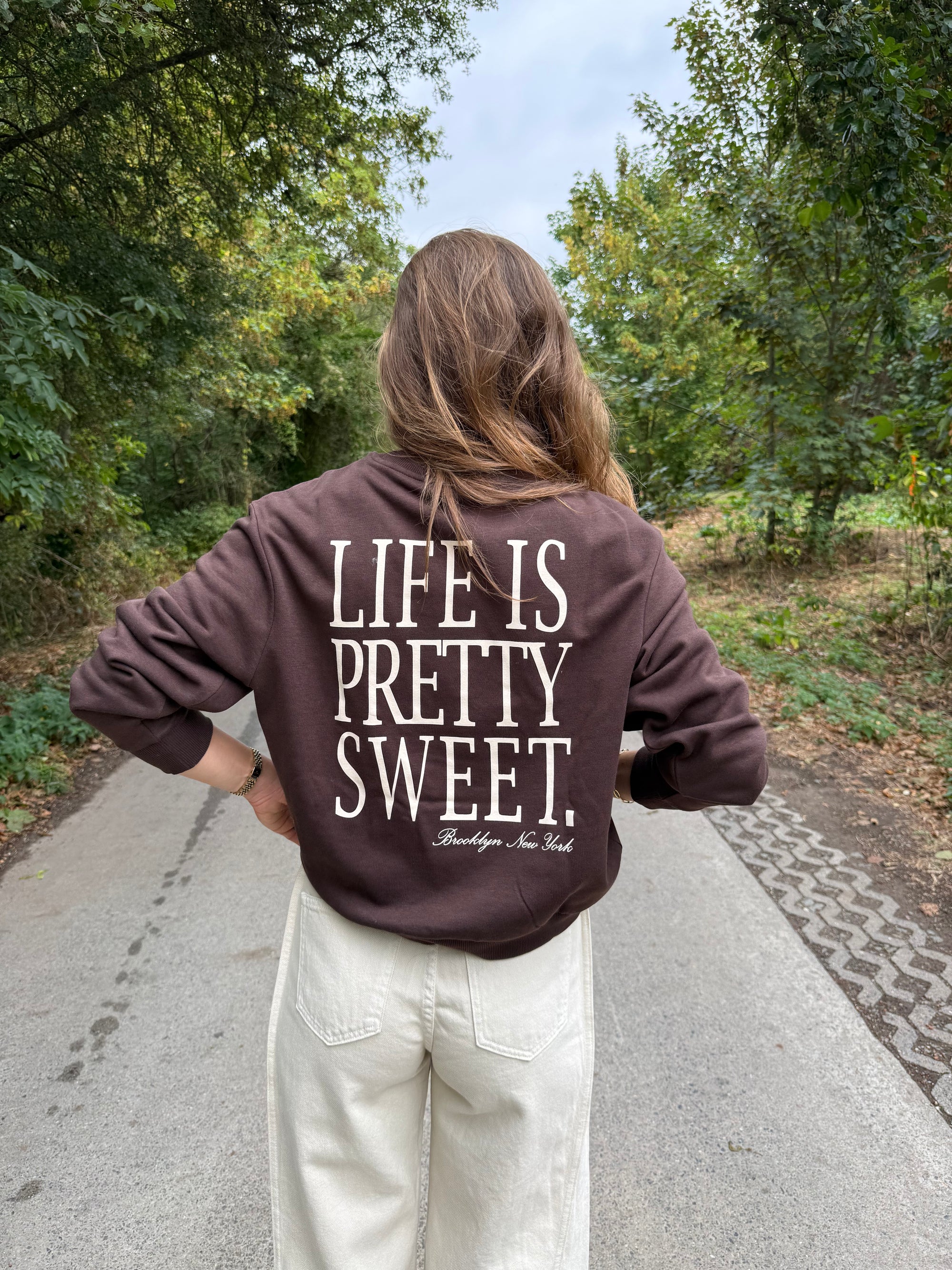 JDY Nanna sweater Brown