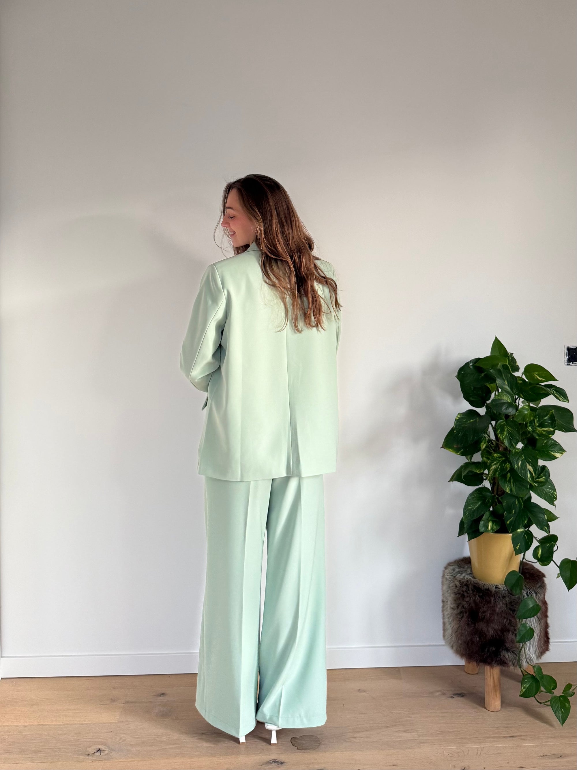 Lara pants mint