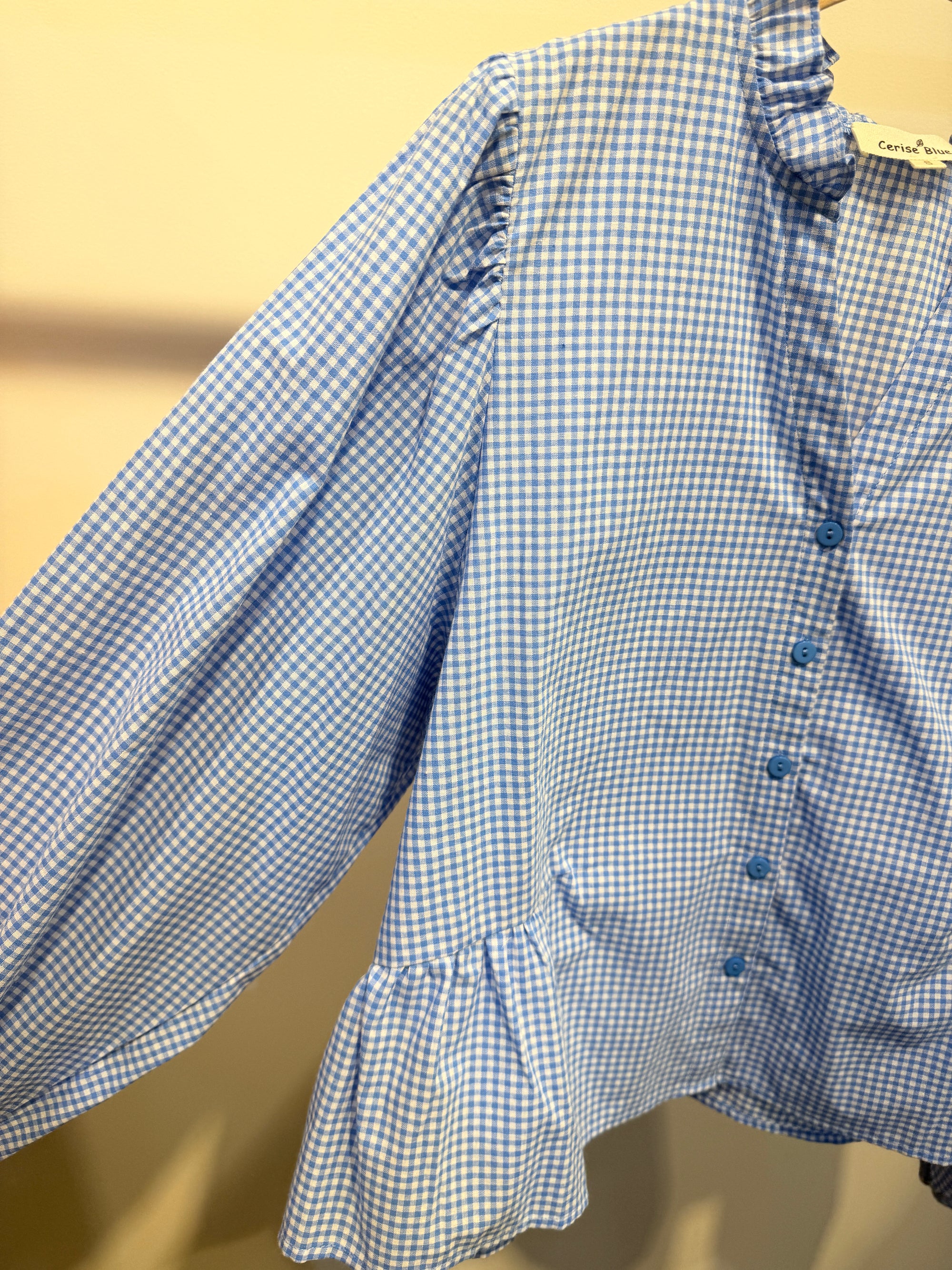 Elize Blouse Blue Ruit